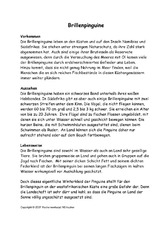 Brillenpinguine-Text-S1.pdf